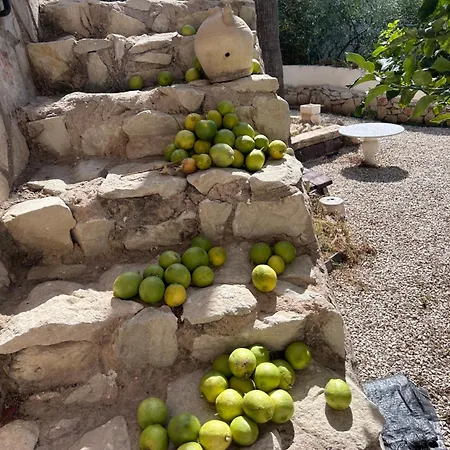 Apartmán Capri